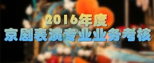 国产大鸡大国家京剧院2016年度京剧表演专业业务考...